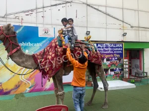 Australian Practices Canvas International School Gallery 24