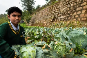 Brindavan Schools Gallery 7
