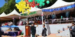 St. Joseph's College Gallery 27