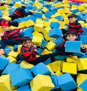 Adarsh Public School Gallery 12