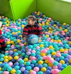 Adarsh Public School Gallery 2