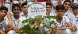 Anand Vidya Bharti Education Society School Anand Vidya Bharti Education Society School Gallery