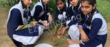Arwachin Shiksha Sadan Secondary School Arwachin Shiksha Sadan Secondary School Gallery