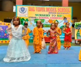 Bal Vidya Model School Gallery