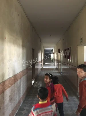 Green Day Public School Gallery 4