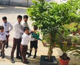 Gyan Sarover Bal Vidyalaya Gyan Sarover Bal Vidyalaya Gallery