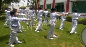 Hindon Public Senior Secondary School Gallery 9