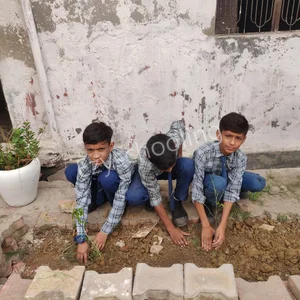 Meer Public School Gallery 2