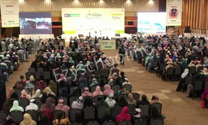 MS Creative School Gallery 11