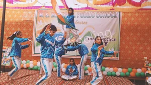 MS Memorial Public School Gallery 21