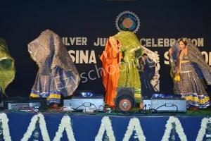 Raisina Bengali Senior Secondary School Gallery 31