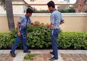 Ratanjee Modern School Gallery 37