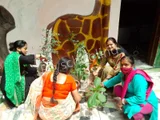 Sunny Convent School Sunny Convent School Gallery