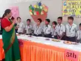 Vidya Public School Vidya Public School Gallery