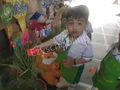 Vivek Summit School Gallery
