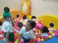 Vivek Summit School Gallery