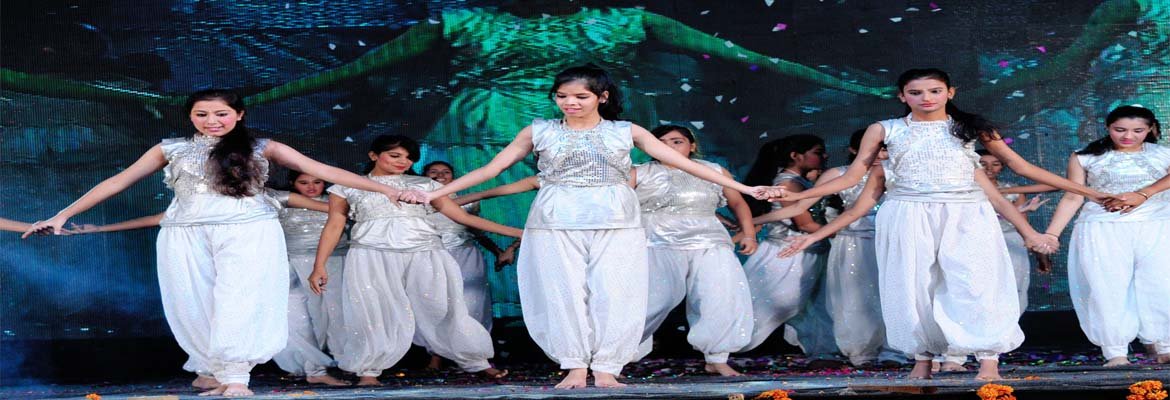 White Leaf Public School Gallery 11