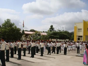 Orchids The International School Gallery 1