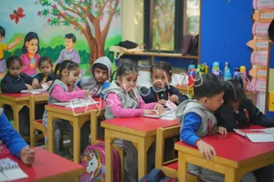 Brain International School Gallery 8