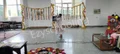 Lt. Col. Mehar Little Angels Senior Secondary School Gallery