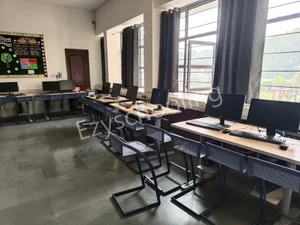 Shadley Public School Gallery 18