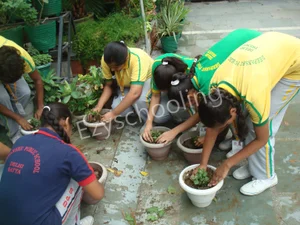 Deepanshu Public School Gallery 25