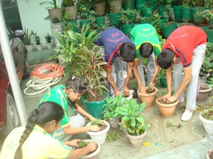 Deepanshu Public School Gallery 21