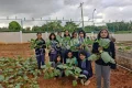 Emerald International School Gallery