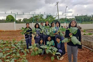 Emerald International School Gallery 18