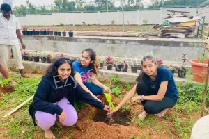 Emerald International School Gallery 15