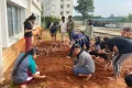 Emerald International School Gallery