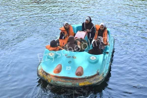 IQRA International School-Mumbai Gallery 41