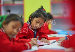 Douglas Memorial Higher Secondary School Gallery 3