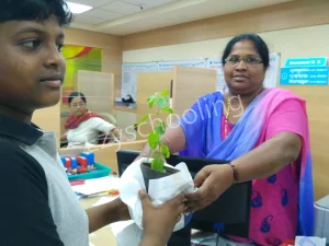 Achieve School Gallery 32