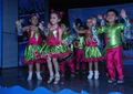 Dolphin Kids School Gallery