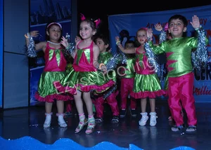 Dolphin Kids School Gallery 44