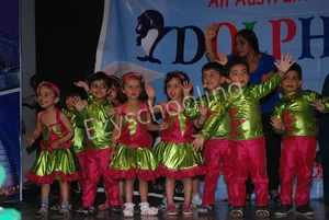 Dolphin Kids School Gallery 32