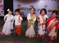 Dolphin Kids School Gallery