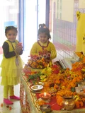 Dolphin Kids School Gallery