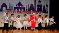 Dolphin Kids School Gallery