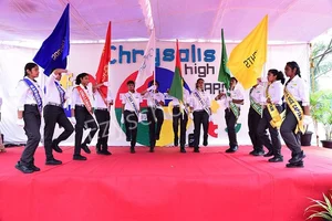 Chrysalis High Marq Gallery 2