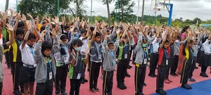 Chrysalis High Marq Gallery 1