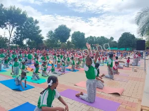 Endeavour's International School Gallery 20