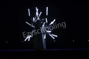 K.D.B. Public School Gallery 2