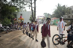 The Paradise Academy Gallery 40