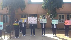 The PTA  School Gallery 50