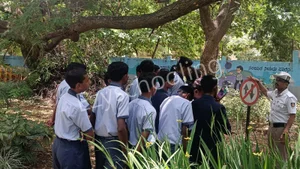 The PTA  School Gallery 18