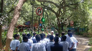 The PTA  School Gallery 15