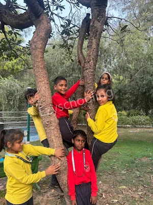 The Twinkling Stars School Gallery 2