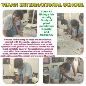 Viaan International School Gallery 5